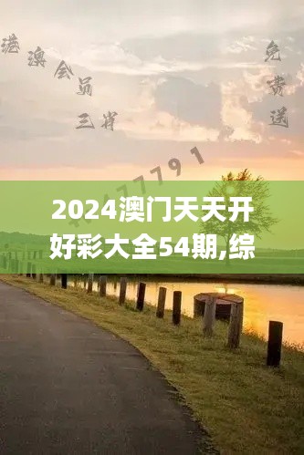 2024澳门天天开好彩大全54期,综合计划评估_XTX59.691美学版