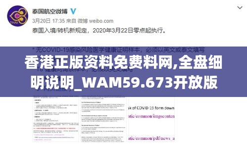 香港正版资料免费料网,全盘细明说明_WAM59.673开放版