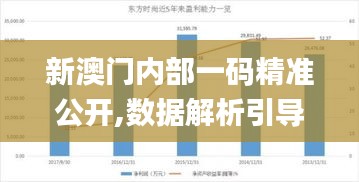 新澳门内部一码精准公开,数据解析引导_DHM59.210升级版