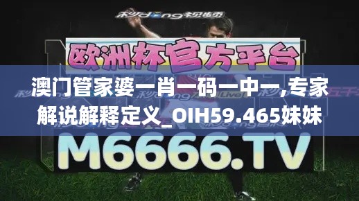 澳门管家婆一肖一码一中一,专家解说解释定义_OIH59.465妹妹版