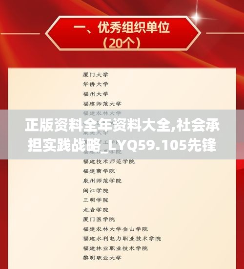 正版资料全年资料大全,社会承担实践战略_LYQ59.105先锋科技