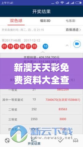 新澳天天彩免费资料大全查询,解答配置方案_XPV59.801定制版