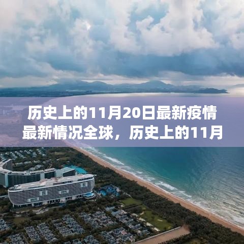 历史上的11月20日全球疫情最新进展与防控指南，初学者与进阶用户必读