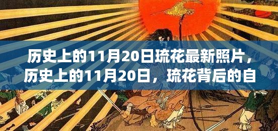 历史上的11月20日，琉花的新照片揭示背后的自信与成长之路