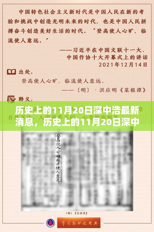 历史上的11月20日深中浩最新消息，深度解析与观点阐述