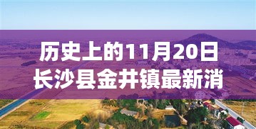 历史上的11月20日长沙县金井镇，最新消息与深度探索步骤指南