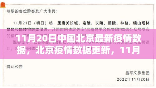 北京疫情最新数据解析，数字背后的故事揭示了什么？