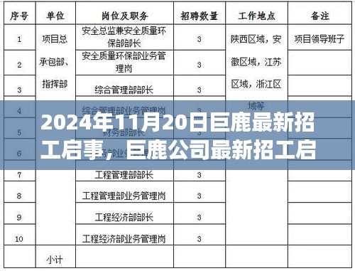 巨鹿公司最新招工启事，探寻职场新星，共筑未来辉煌（2024年11月版）