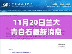 11月20日兰大青白石最新消息，兰大青白石新篇章，变化中的学习力量与自信的种子，播种于十一月廿日