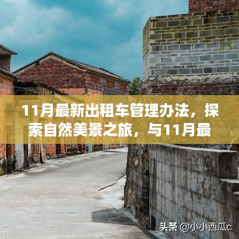 探索自然美景之旅，与最新出租车管理办法共寻内心宁静之路