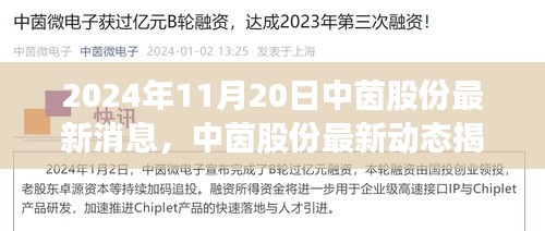 中茵股份最新动态及行业影响深度解析，2024年11月20日展望