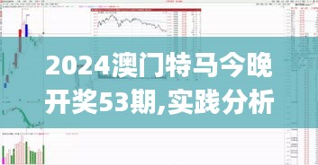 2024澳门特马今晚开奖53期,实践分析解释定义_固定版OOB4.11