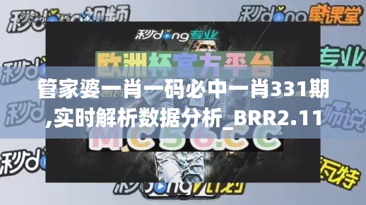 管家婆一肖一码必中一肖331期,实时解析数据分析_BRR2.11