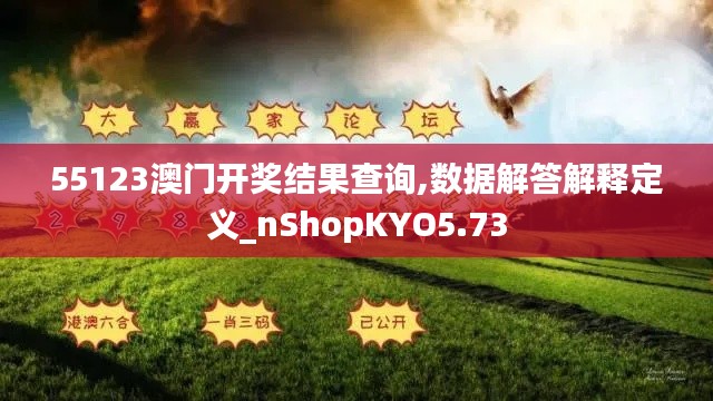 55123澳门开奖结果查询,数据解答解释定义_nShopKYO5.73