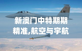 新澳门中特期期精准,航空与宇航技术_改制版DDL8.44