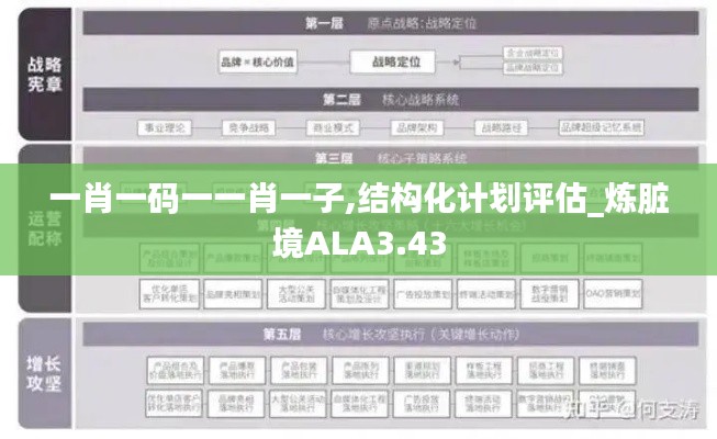 一肖一码一一肖一子,结构化计划评估_炼脏境ALA3.43