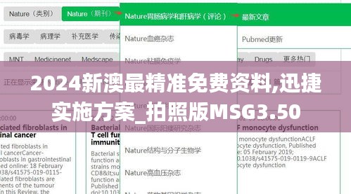 2024新澳最精准免费资料,迅捷实施方案_拍照版MSG3.50