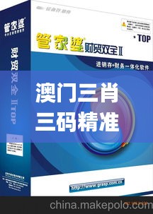 澳门三肖三码精准100%管家婆,高效性实施计划解析_解谜版DFU3.14