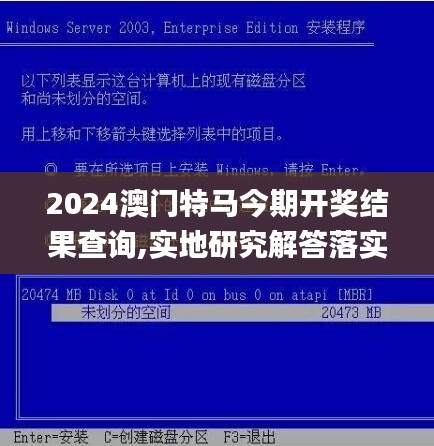 2024澳门特马今期开奖结果查询,实地研究解答落实_冒险版FIN1.79