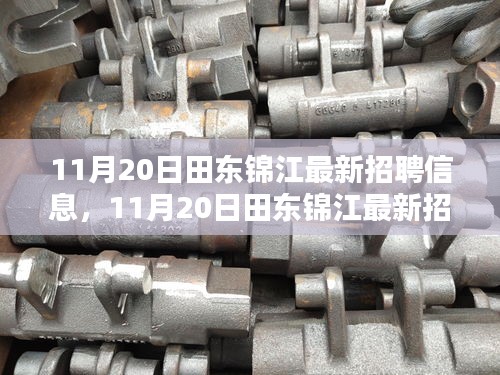 11月20日田东锦江最新招聘信息，11月20日田东锦江最新招聘信息获取与应聘全攻略（初学者/进阶用户适用）