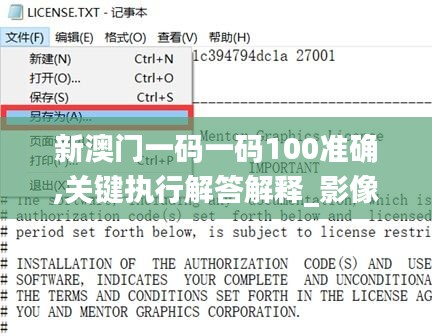 新澳门一码一码100准确,关键执行解答解释_影像处理版RWU4.37