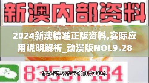 2024新澳精准正版资料,实际应用说明解析_动漫版NOL9.28