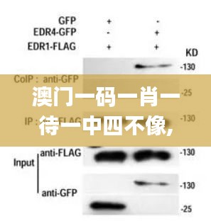 一心一意 第3页