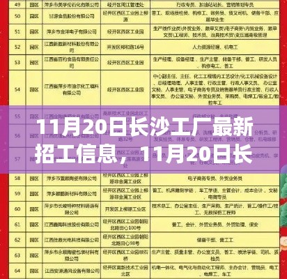 长沙工厂最新招工信息详解，岗位、要求与申请指南（11月20日更新）