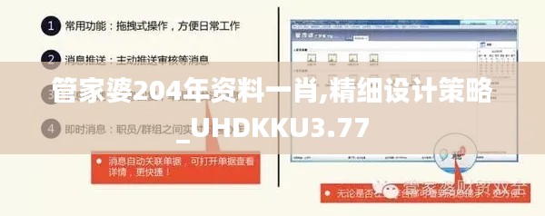 管家婆204年资料一肖,精细设计策略_UHDKKU3.77