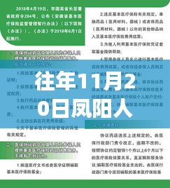 凤阳人才网历年招聘深度解析，职场人的新选择——往年与最新招聘动态概览