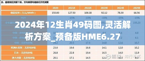 2024年12生肖49码图,灵活解析方案_预备版HME6.27