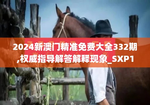 2024新澳门精准免费大全332期,权威指导解答解释现象_SXP1.58