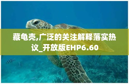 藏龟壳,广泛的关注解释落实热议_开放版EHP6.60