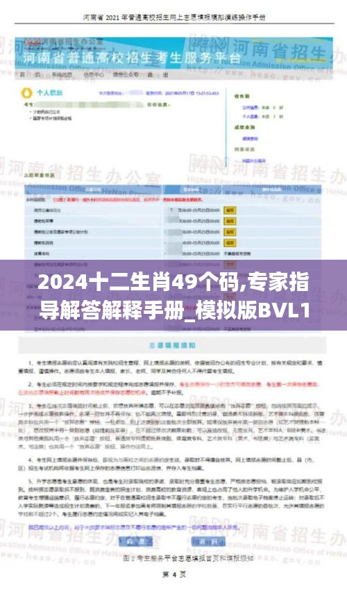 2024十二生肖49个码,专家指导解答解释手册_模拟版BVL1.59