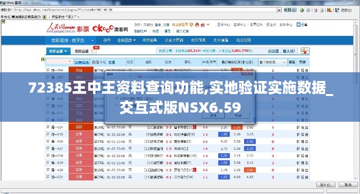 72385王中王资料查询功能,实地验证实施数据_交互式版NSX6.59