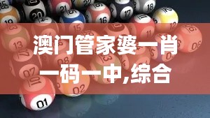 澳门管家婆一肖一码一中,综合评估解析说明_精致生活版QZK1.59