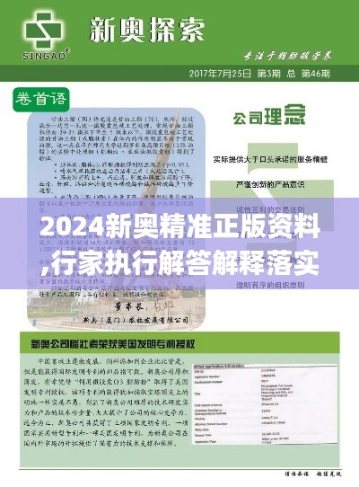 2024新奥精准正版资料,行家执行解答解释落实_精密版WYY4.72