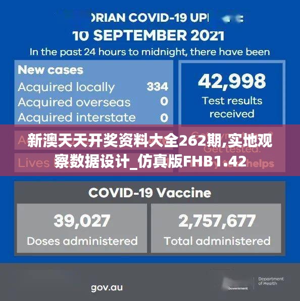 新澳天天开奖资料大全262期,实地观察数据设计_仿真版FHB1.42