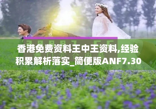 香港免费资料王中王资料,经验积累解析落实_简便版ANF7.30