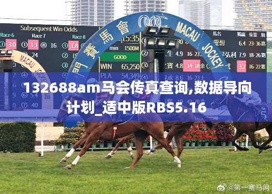 132688am马会传真查询,数据导向计划_适中版RBS5.16