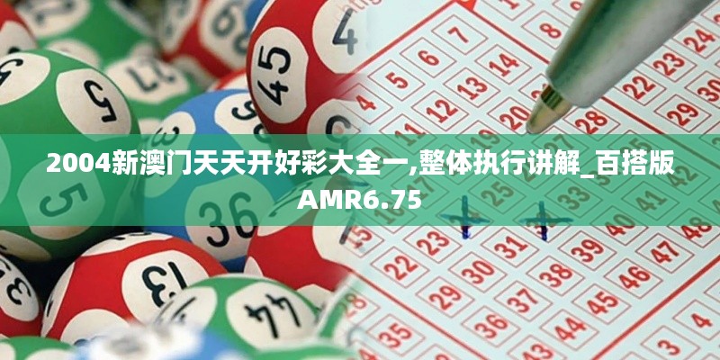 2004新澳门天天开好彩大全一,整体执行讲解_百搭版AMR6.75