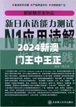 2024新澳门王中王正版,能手解答解释落实_驱动版XYF4.51