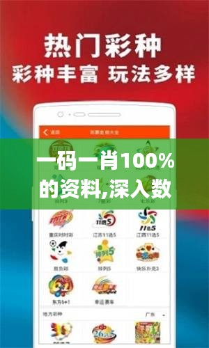 一码一肖100%的资料,深入数据执行方案_完整版JUB1.42