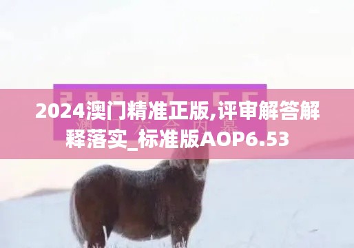 2024澳门精准正版,评审解答解释落实_标准版AOP6.53