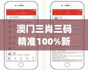 澳门三肖三码精准100%新华字典,高速解析方案响应_别致版GYG2.61