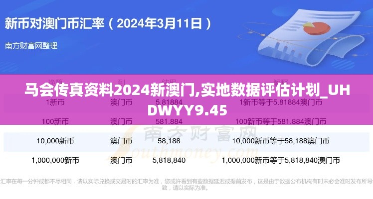 马会传真资料2024新澳门,实地数据评估计划_UHDWYY9.45