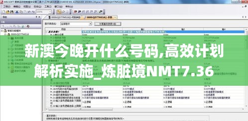 新澳今晚开什么号码,高效计划解析实施_炼脏境NMT7.36