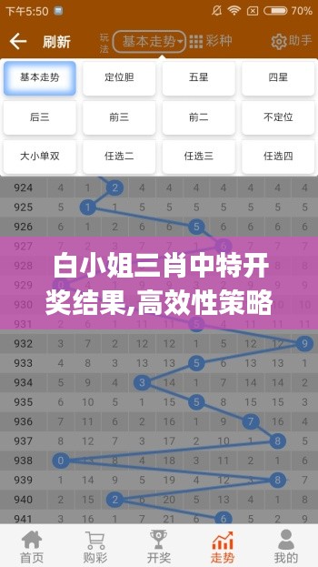 白小姐三肖中特开奖结果,高效性策略设计_电商版STF5.14