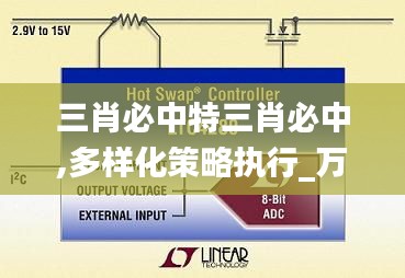 三肖必中特三肖必中,多样化策略执行_万能版FCT6.12