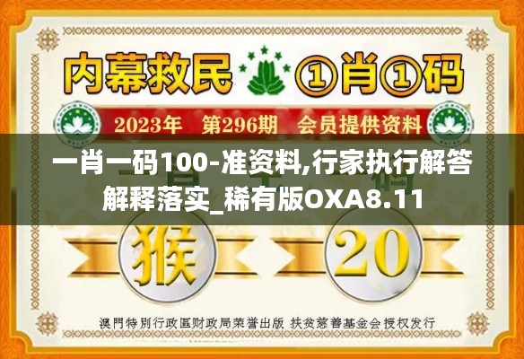 一肖一码100-准资料,行家执行解答解释落实_稀有版OXA8.11